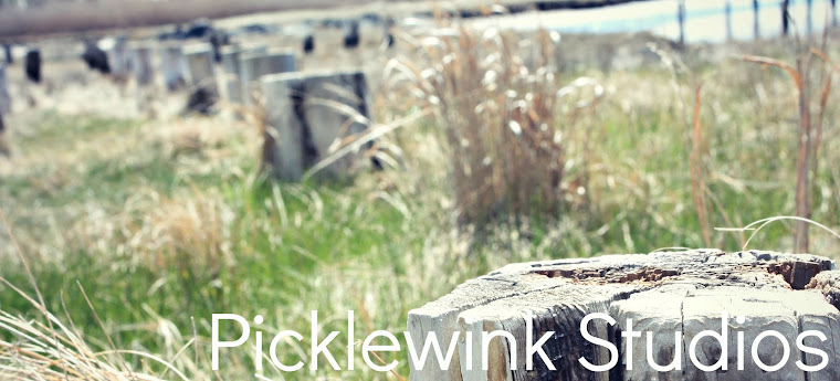 Picklewink Studio