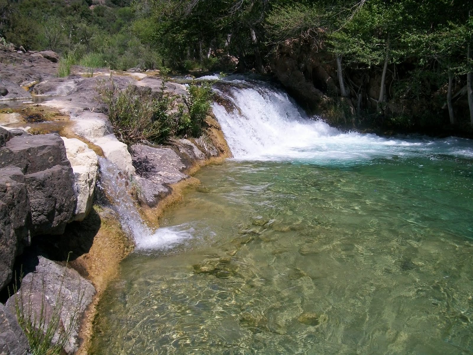 Arizona Jones Fossil Creek, Arizona