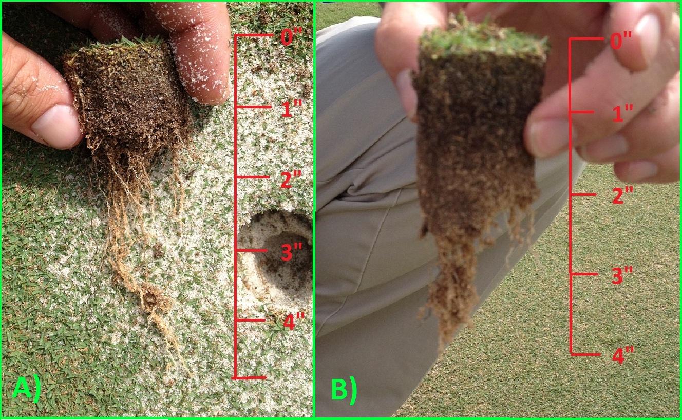 SCTX Golf Course Maintenance Cowan Creek Soil Profile Update