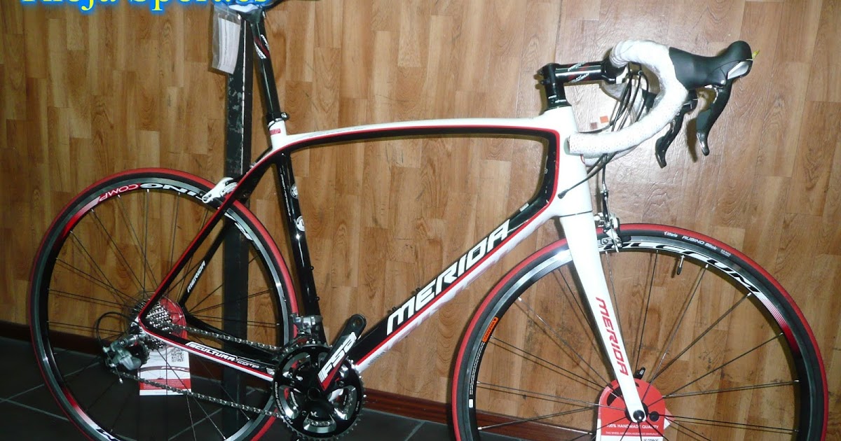 merida scultura comp 905