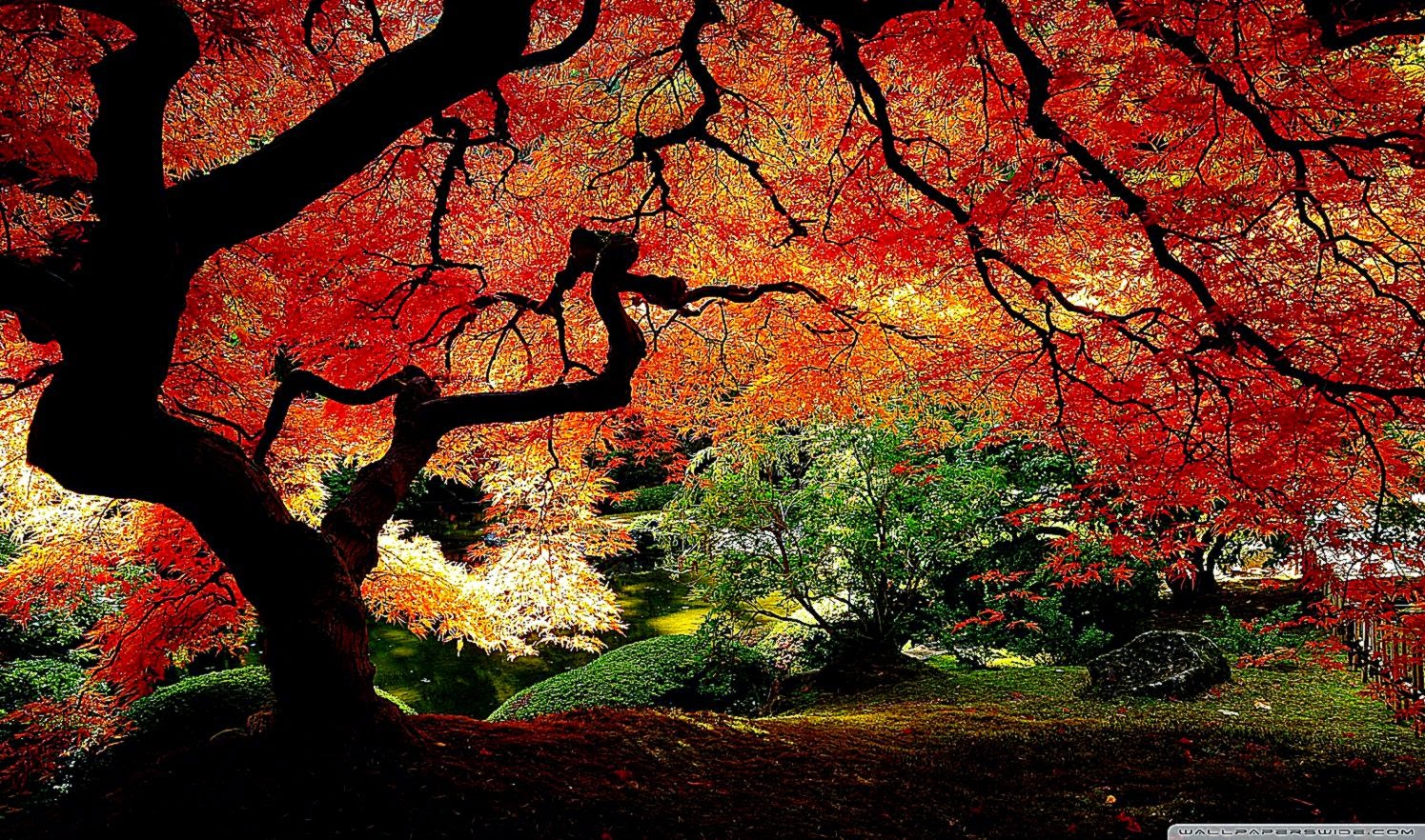 Beautiful Autumn HD desktop wallpaper  Mobile  Dual Monitor Beautiful Autumn HD desktop wallpaper  Mobile  Dual Monitor