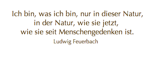 Meine Quilts Und Ich Es Stimmt Mich Traurig