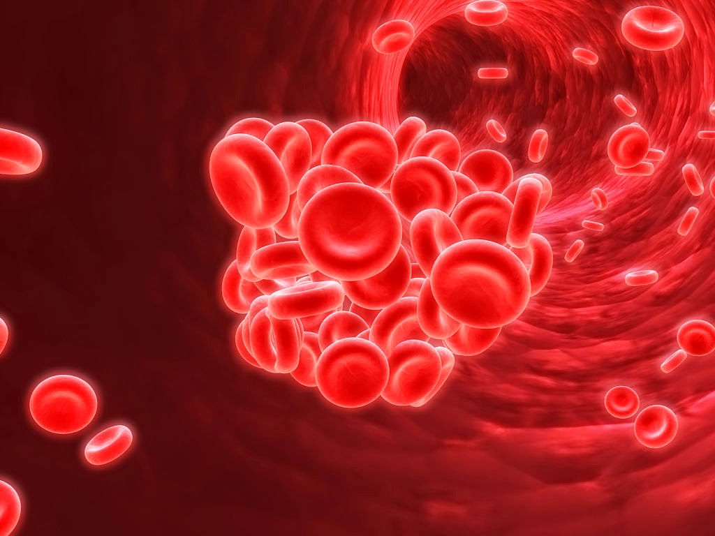 treatment for kidney disease Causes of Renal Anemia