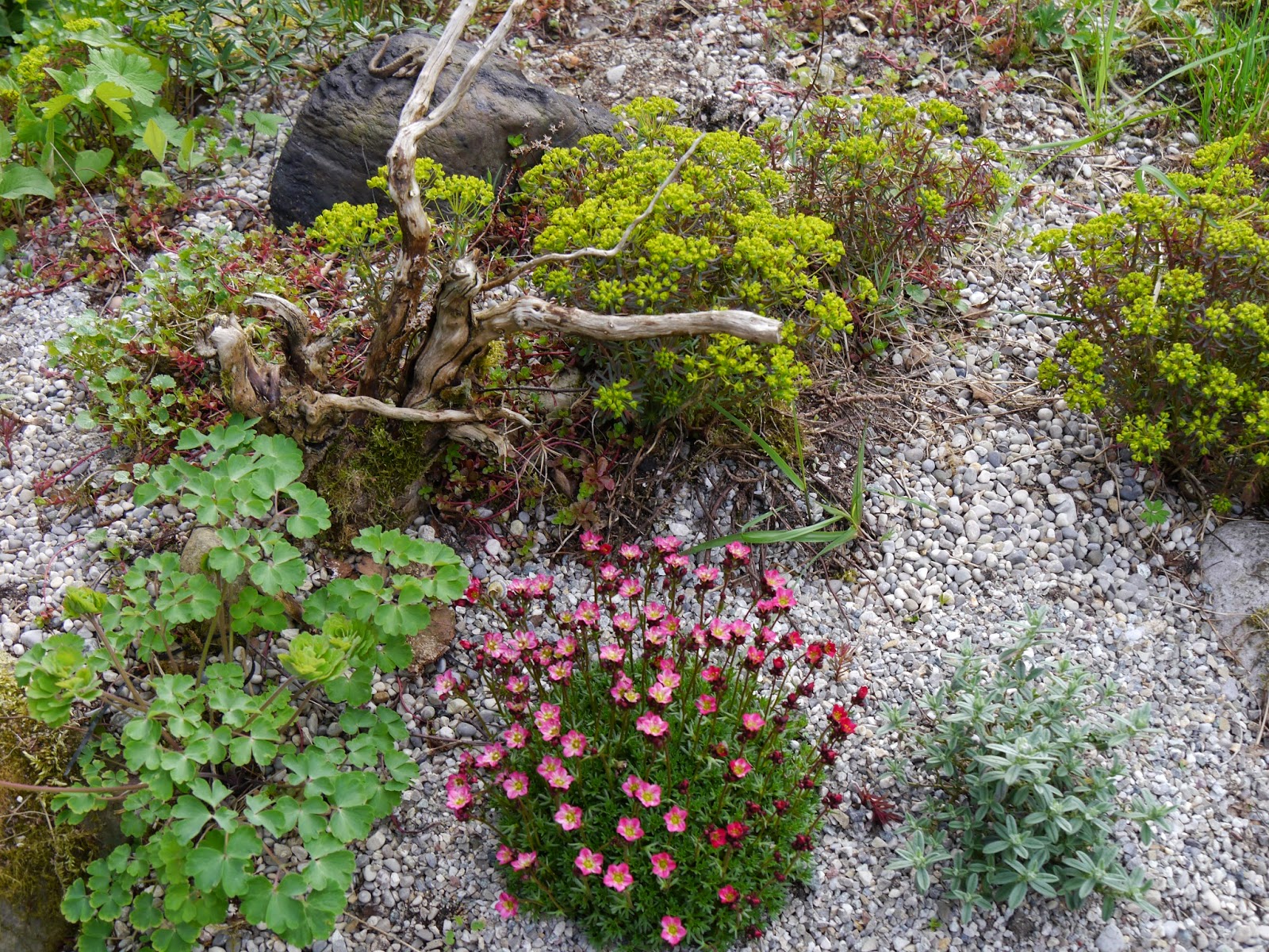 GartenImpressionen April 2015