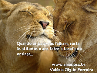 Palavras e atitudes...