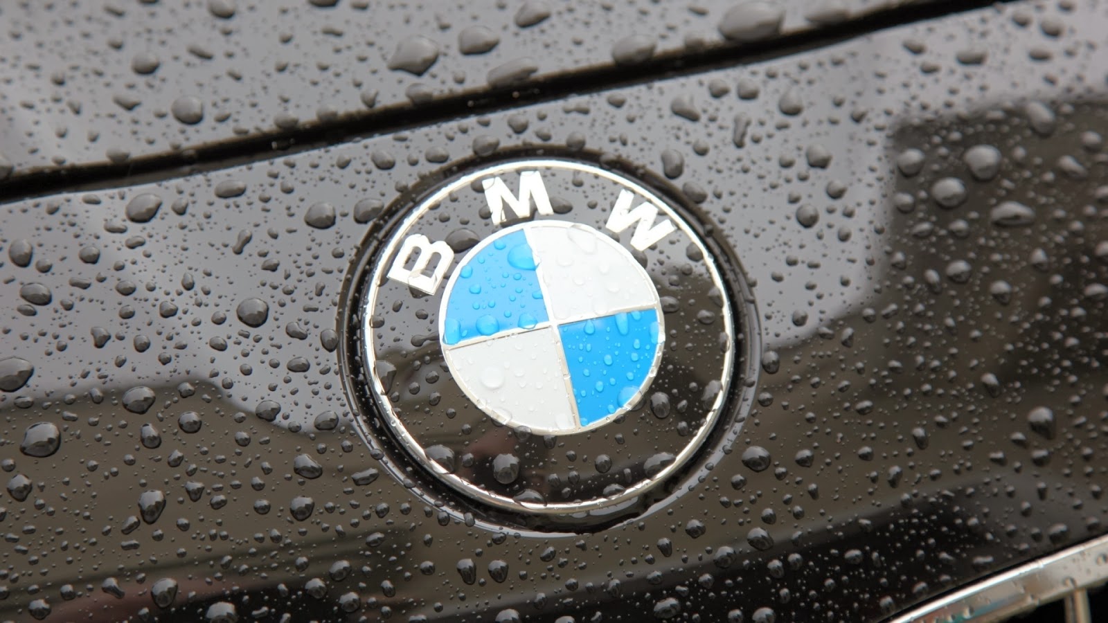 BMW Logo