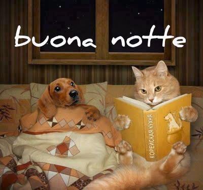 Risultati immagini per buonanotte Luglio