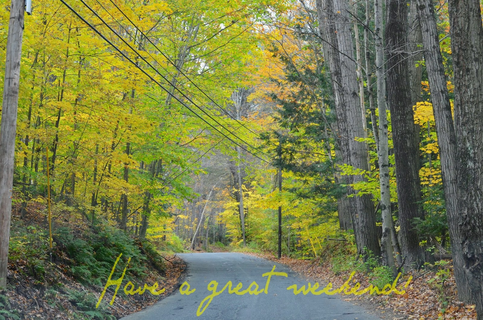 Fall, Vermont, Fall foliage, trees
