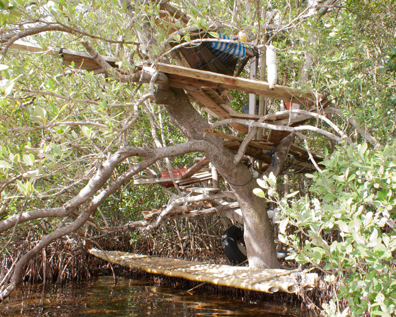 Florida Photography from a Canoe Tree Houses
