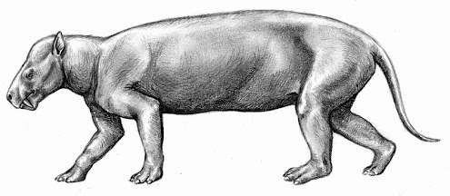 mamiferos del paleoceno Dinocerata Prodinoceras