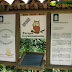 Parque Coyanmahuida