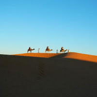 Herr Schnecke Unterwegs Und Auf Reisen 2015