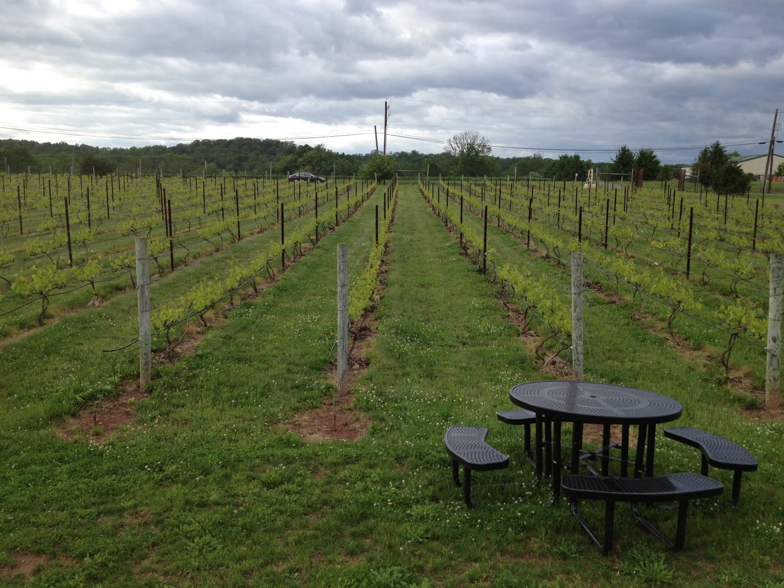 Stuff I Ate Hopewell Valley Vineyards (New Jersey)