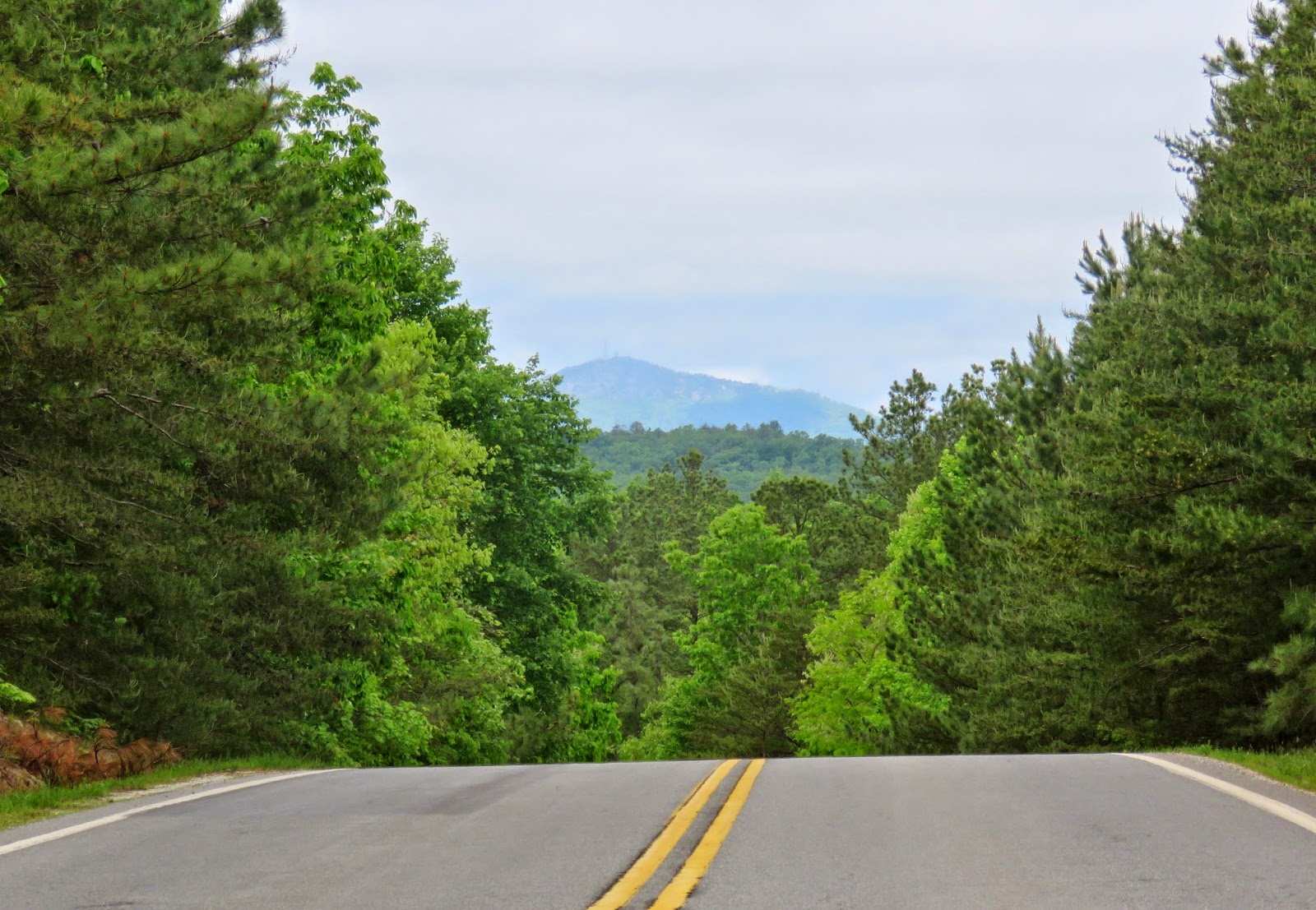 Where's Liz? 2015 The Real Walton's Mountain