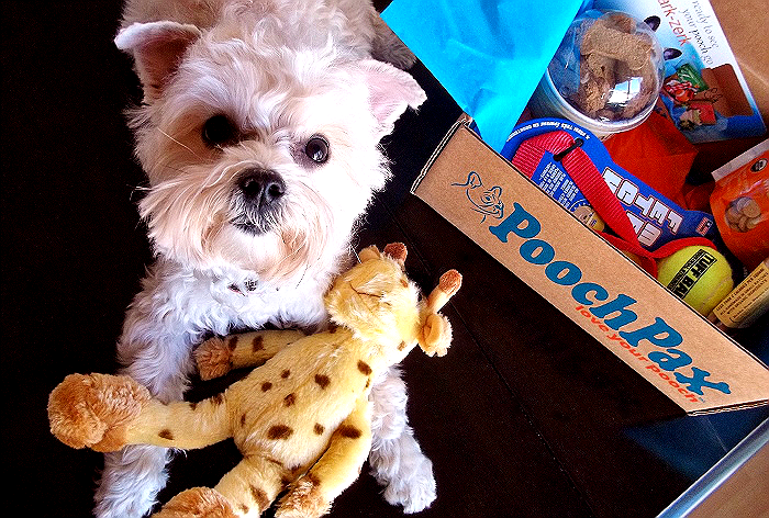 Pooch Pax Monthly Subscription Box For Dog Owners