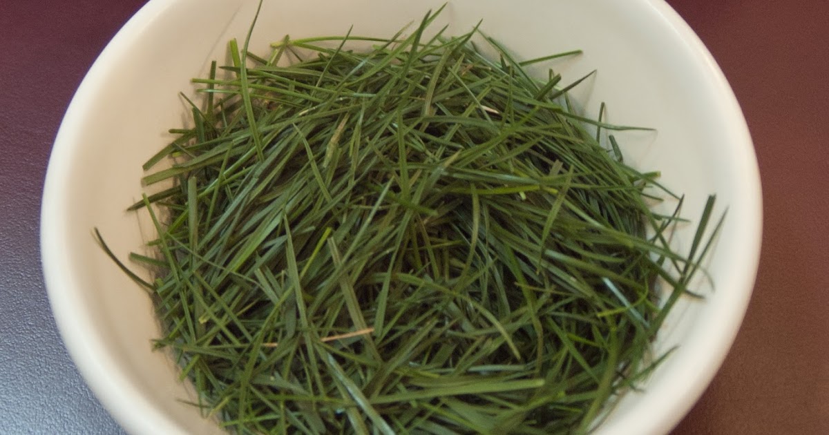 words and wanderlusts DIY homemade scented paper