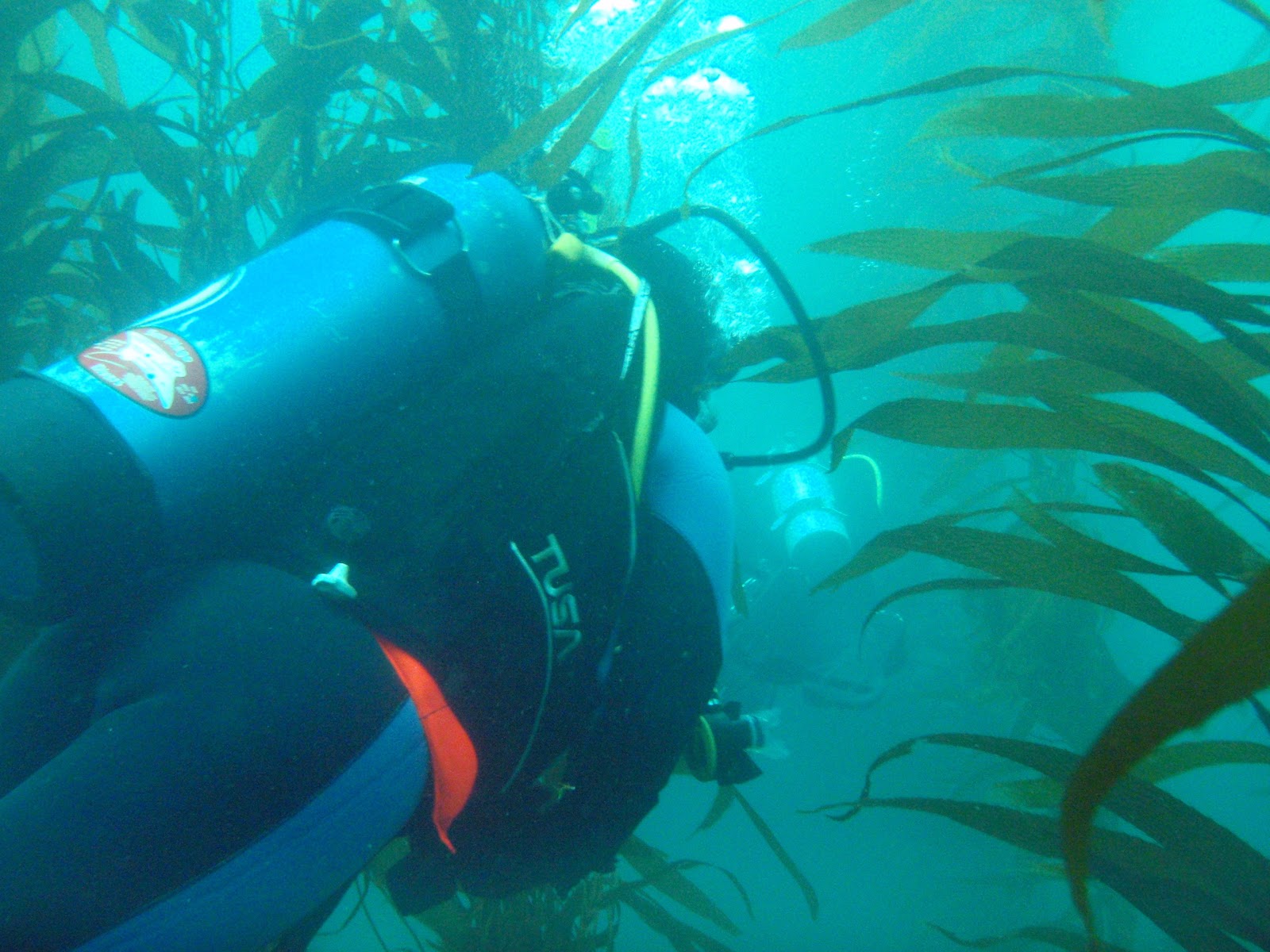 Cosa Times Diving La Jolla Cove
