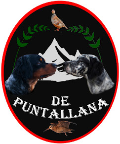 De Puntallana