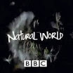 BBC Natural World