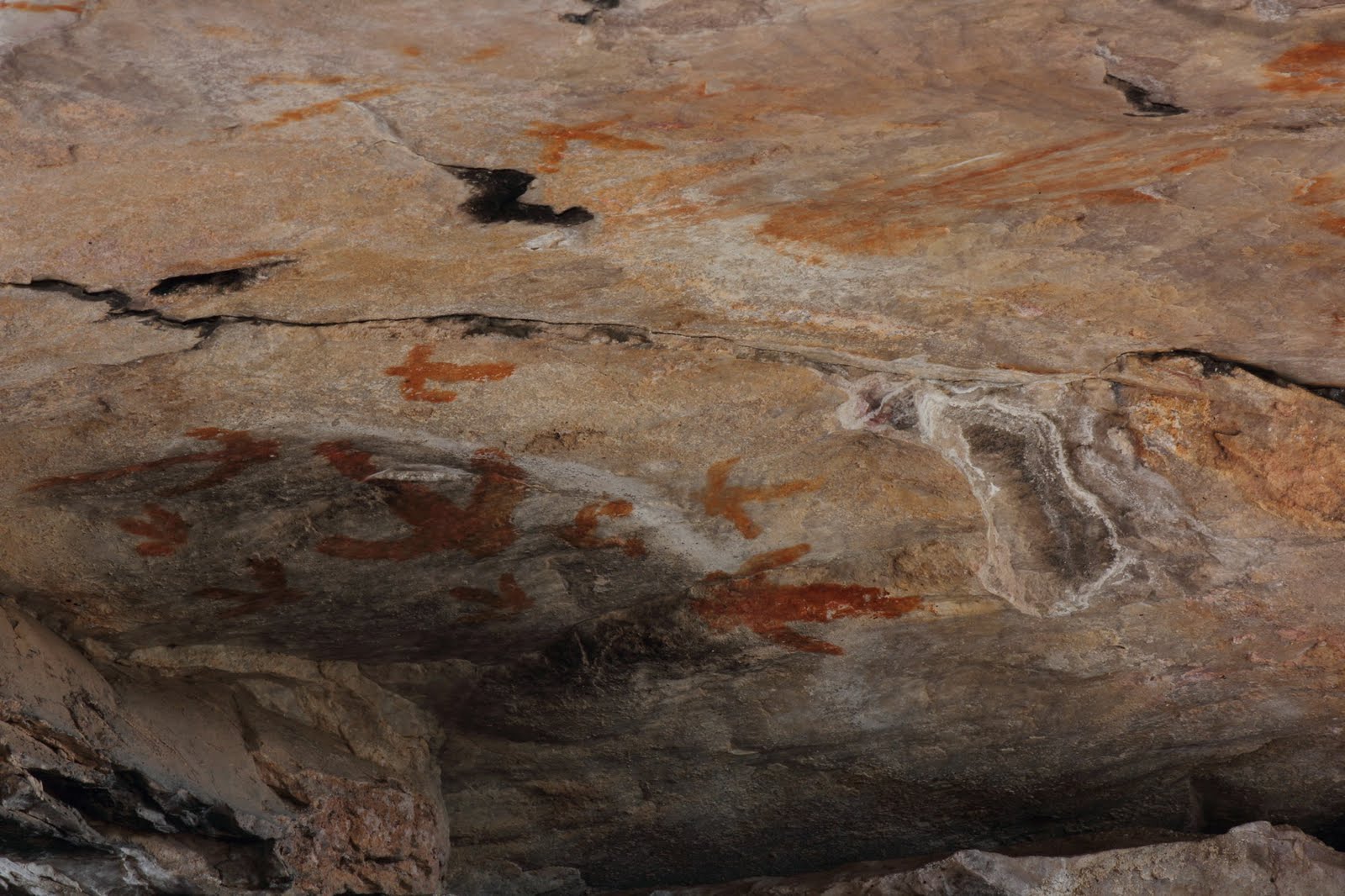 Aboriginal Skeleton Art