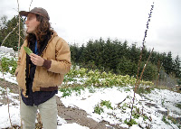 Gull Nathaniel Rappole Farm to Artist