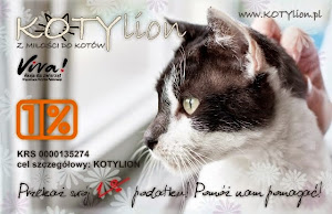 KOLTYLION