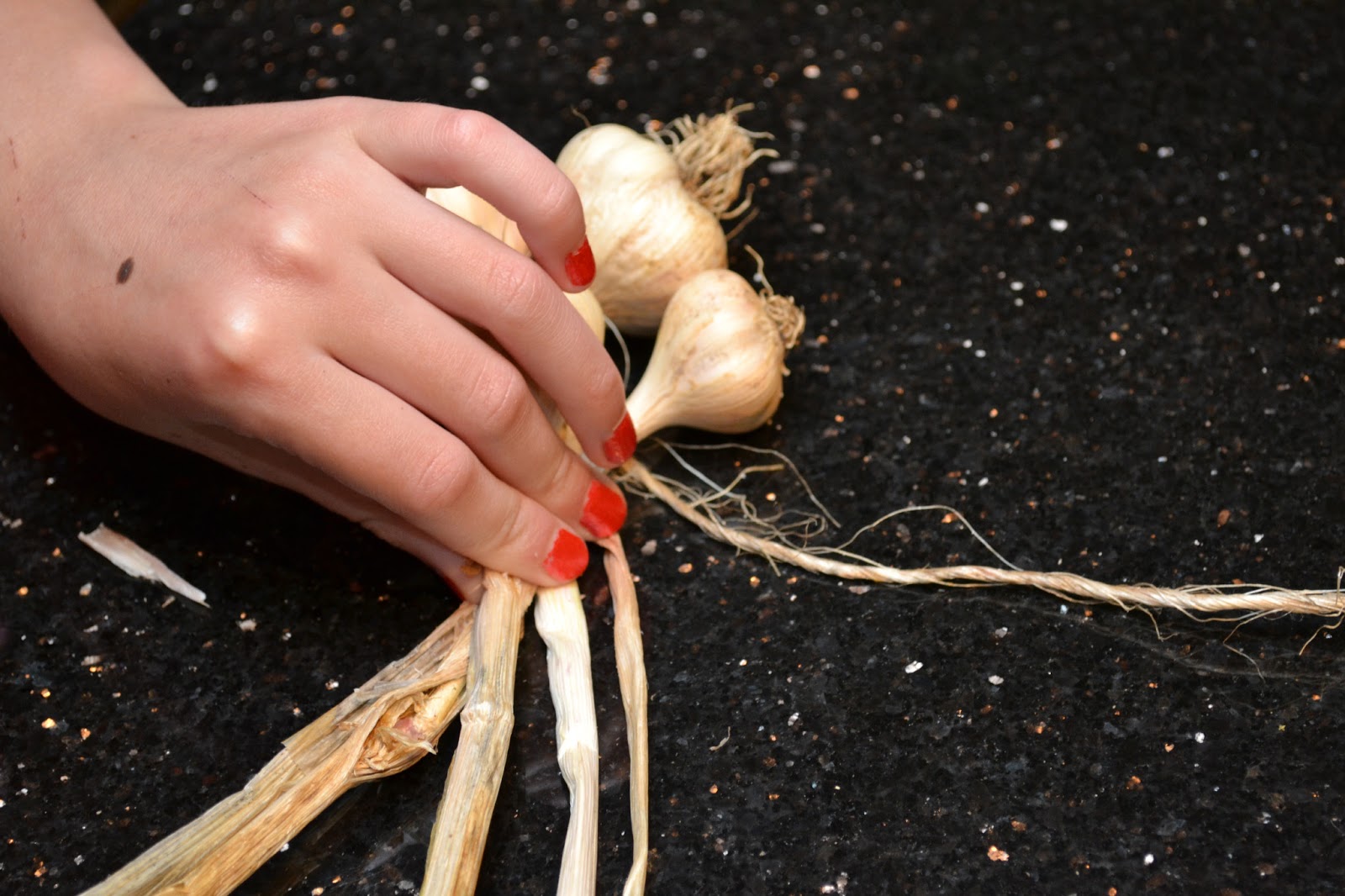 Growing Days Garlic A Stylish Display to Ward Off Vampires.