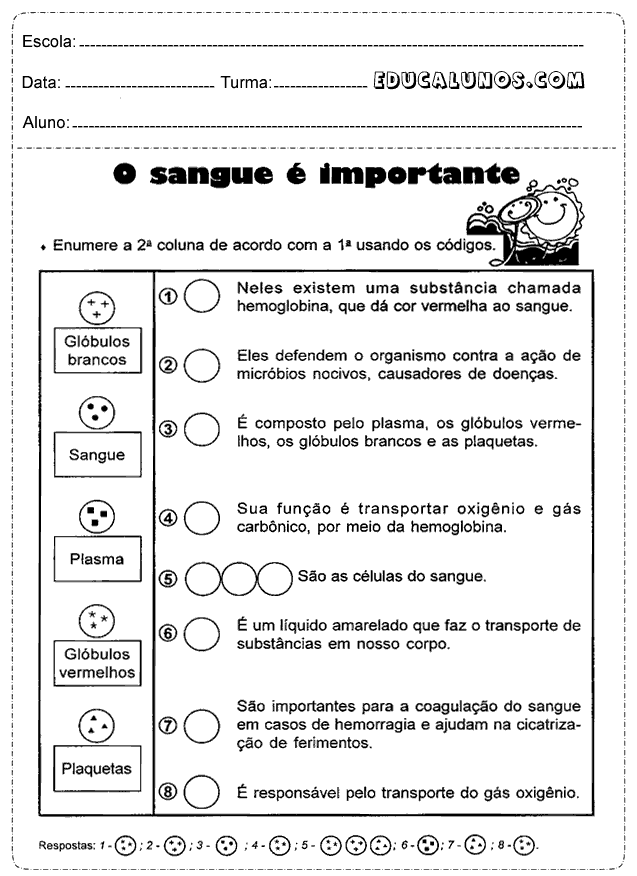 O sangue é importante por que?