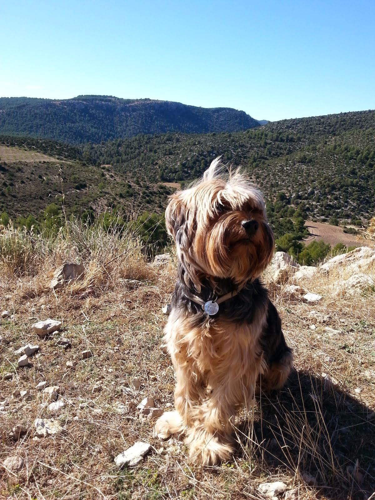 Más dulce que salado Tarta tren de cumpleaños