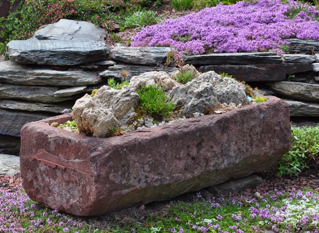 Three Dogs in a Garden: The Rock Garden, Part 2: Planting Notes