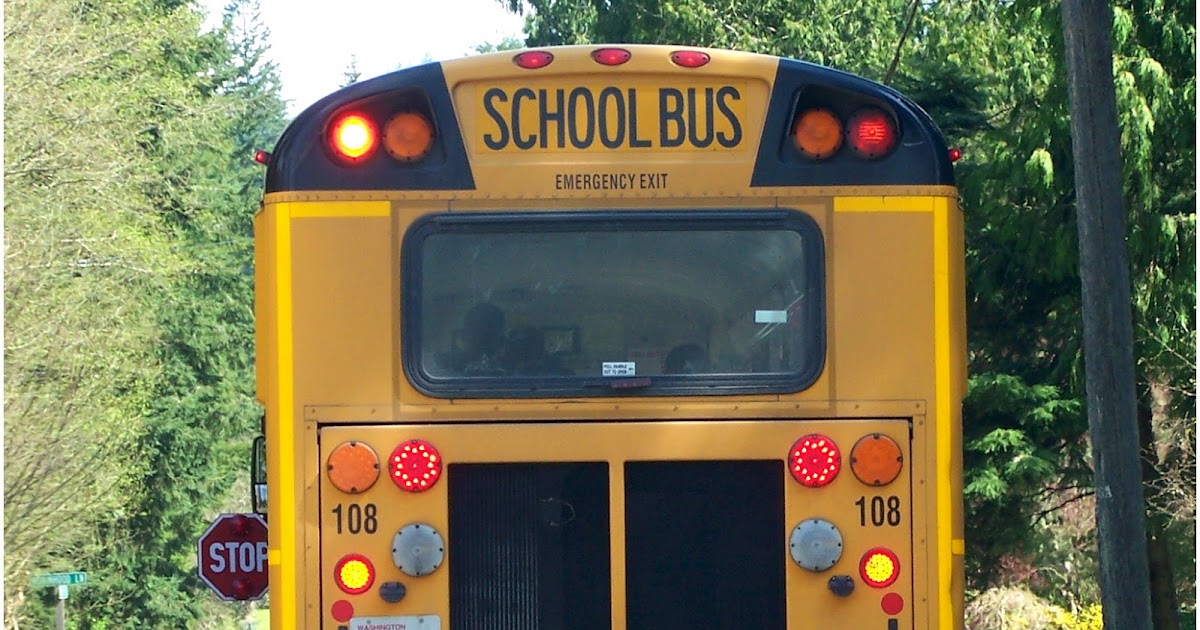 Why Don't School Buses Have Seat Belts? Defensive Driving School