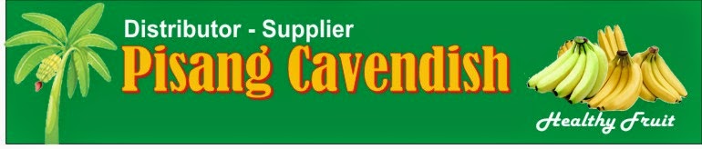 Pisang Cavendish Distributor - Supplier