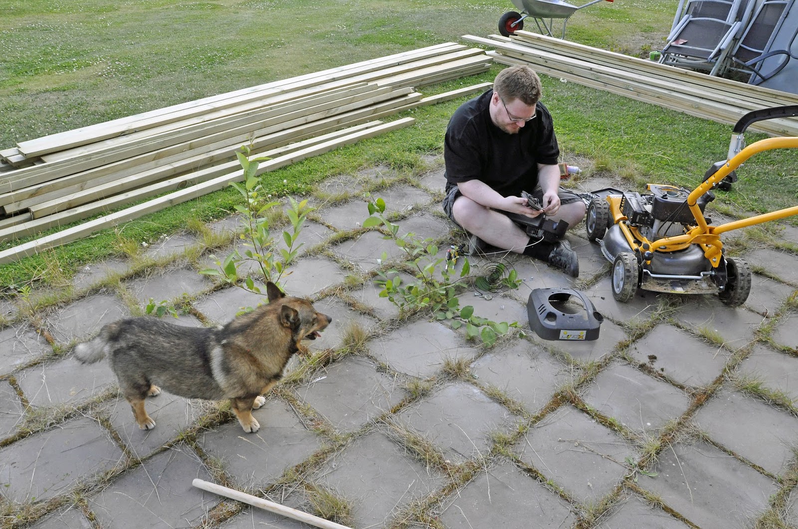 Sverker – världens smartaste västgötaspets: projekt trädäck hos ...