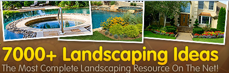 landscaping idea
