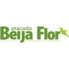 Beija Flor - Eu sou Professora