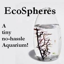 Self-Sustaining EcoSphere by NASA: A Fascinating Decoration for