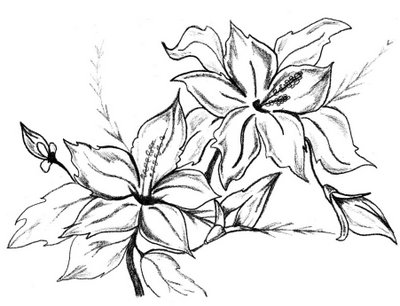 desenho flores