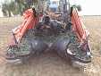 Harvesting Olives