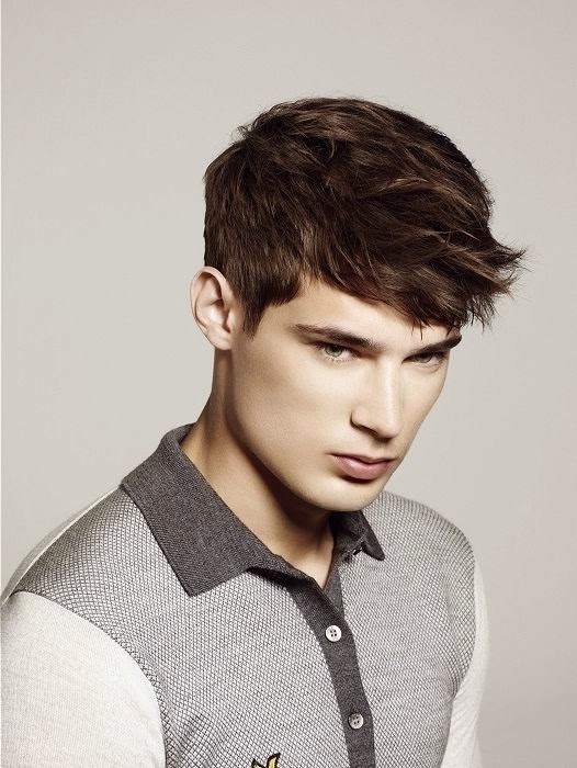 Mannen Kapsels Ideeen Mapa