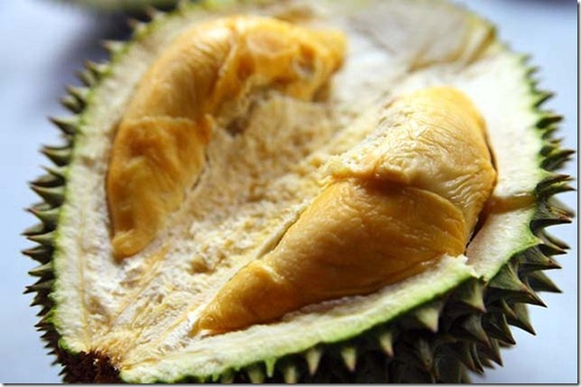 Xo Durian