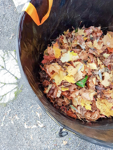 fiskar popup puutarhasäkki haravointi haravoida vaahteranlehti syksy pihahommia