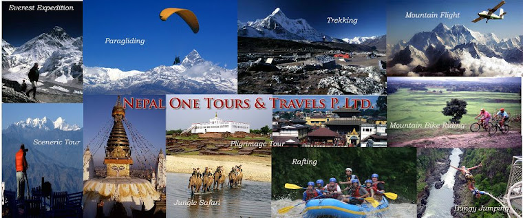 Nepal One Tours & Travels Pvt. Ltd.