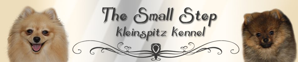 The Small Step kleinspitz