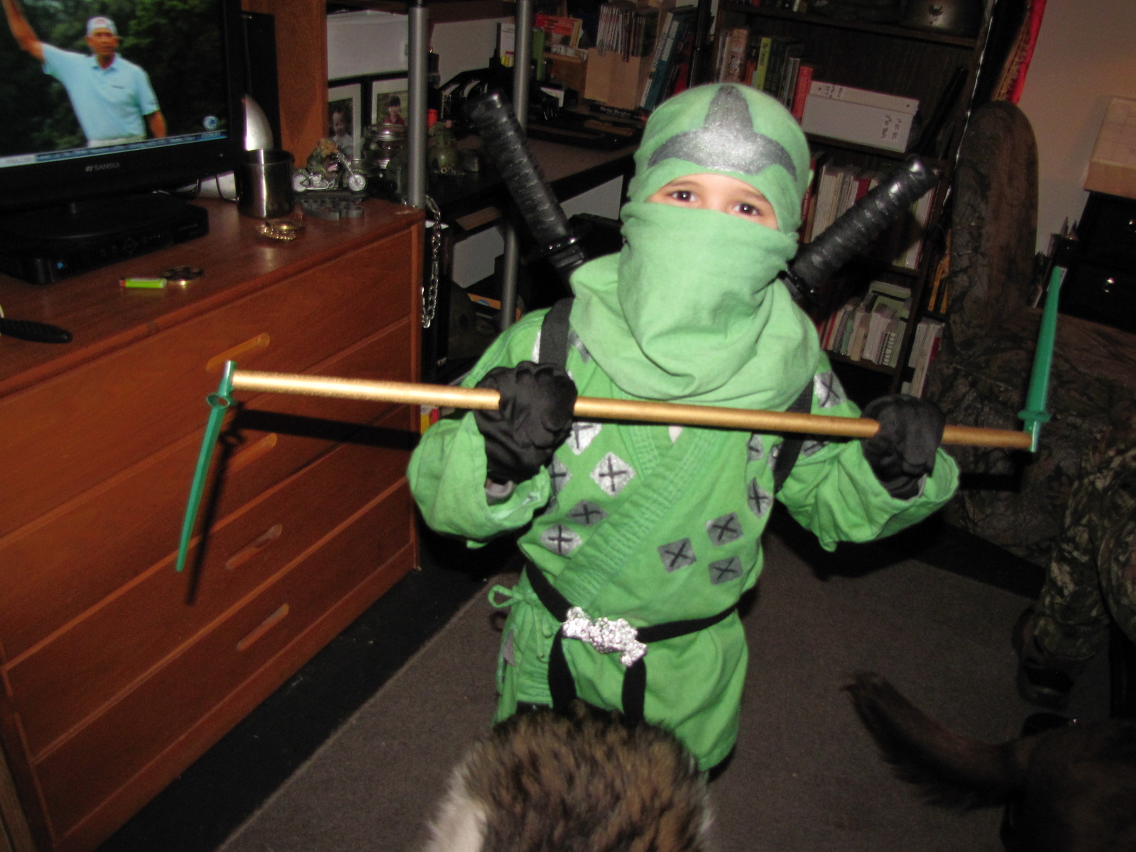 Roberts Family Adventures How to Make a Ninjago Green Ninja Costume