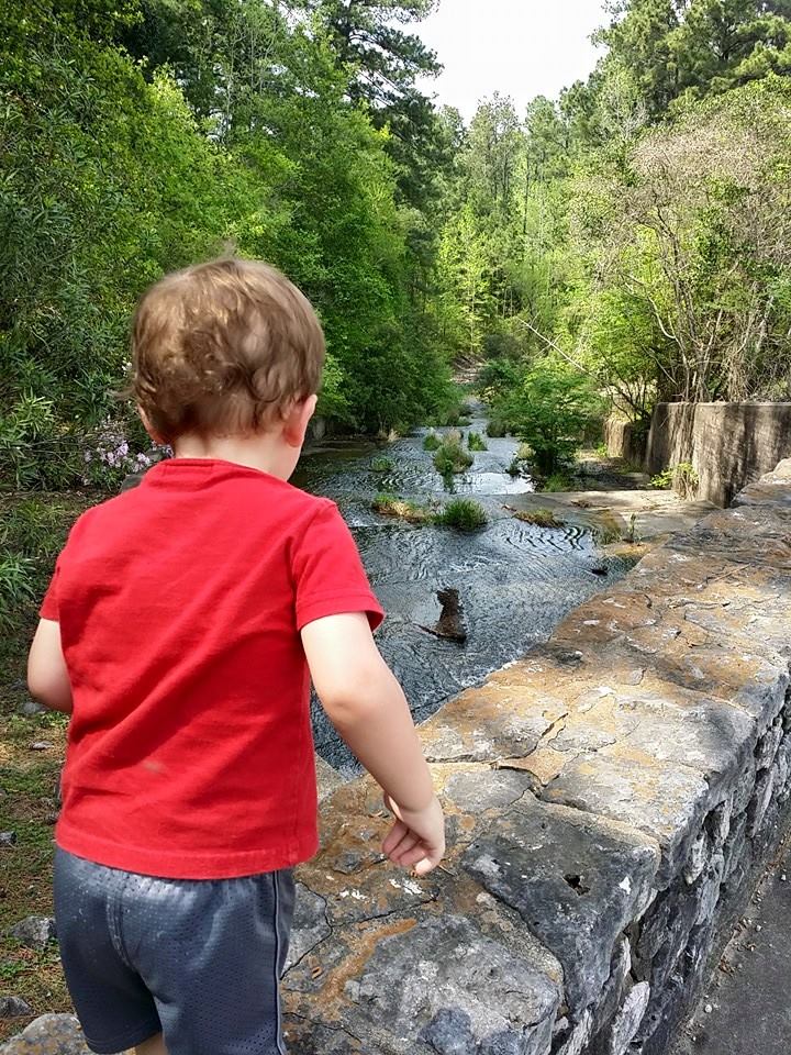 A Chance To Do Nothing Blogs Donaldsonville Chief