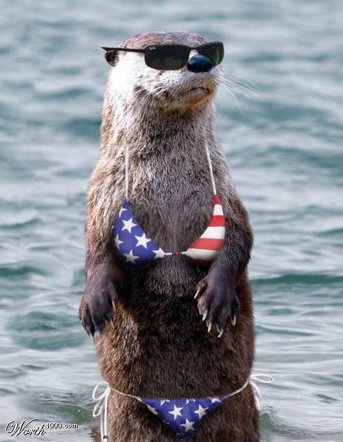 Hot Bikini Babes Fun With Bikini