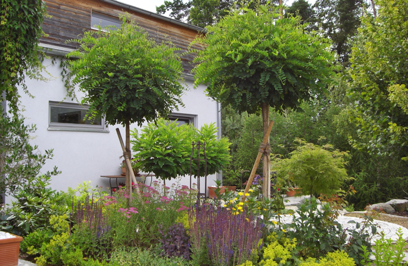 Gartenbuddelei Zeig uns Deinen Garten! Heute Der Garten