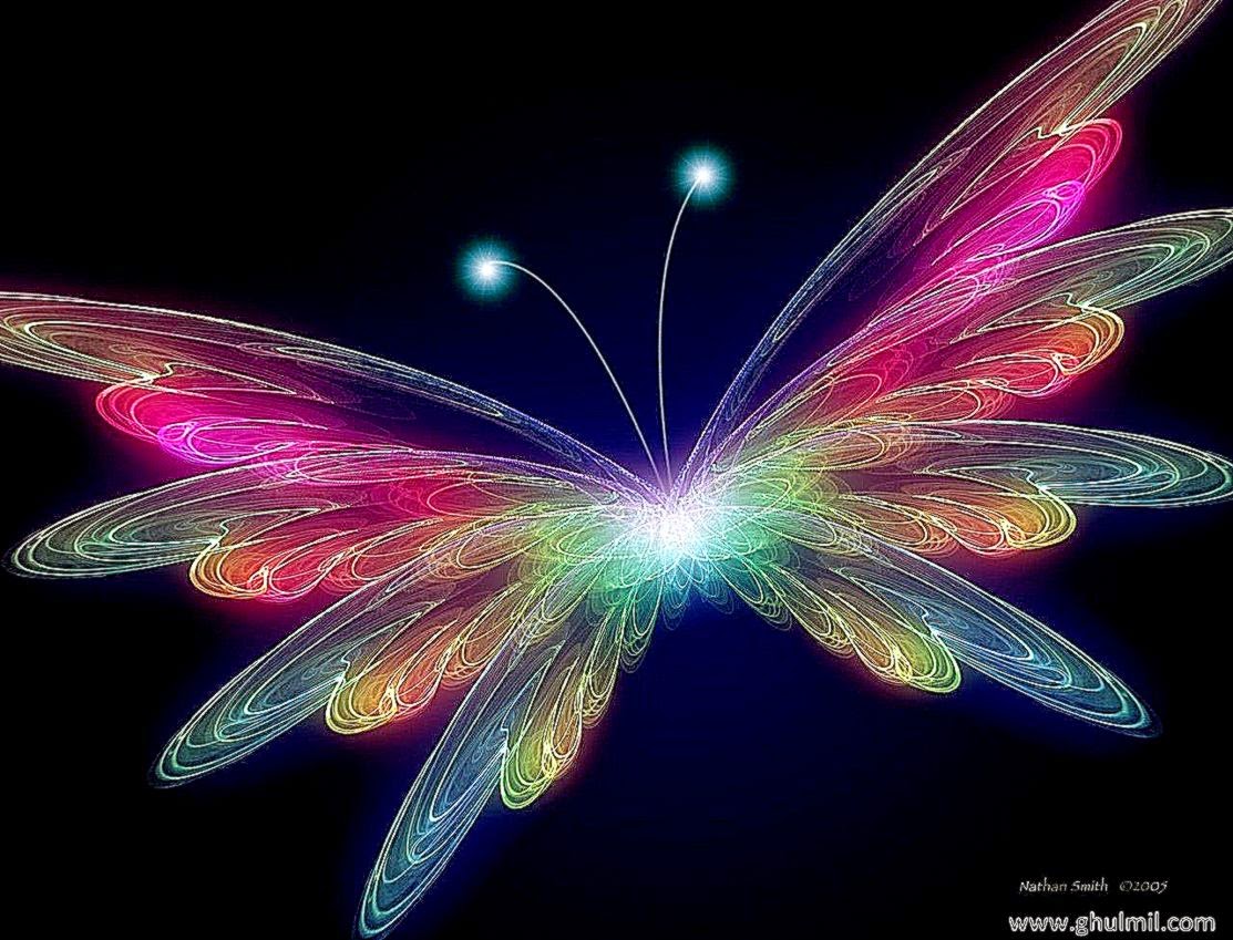 3D Butterfly wallpaper Butterflies Wallpaper 31063788 Fanpop 3D Butterfly wallpaper Butterflies Wallpaper 31063788 Fanpop