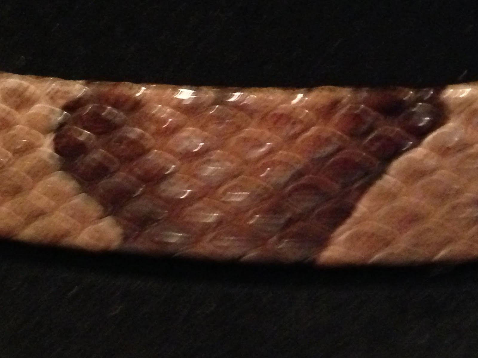 The musings of a 'Big Man' Update on the Copperhead Hat Band.