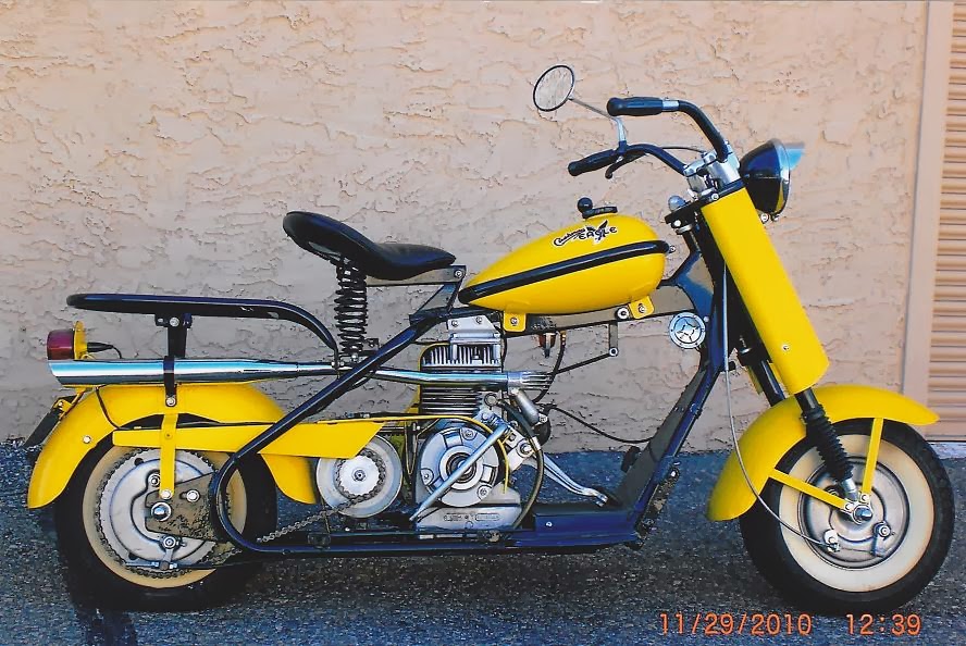 Rules of the Jungle Eagles in Symbols & Names Cushman Eagle